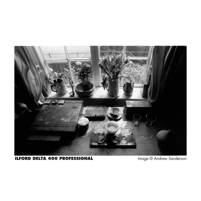 DELTA 400 PROFESSIONAL 35mm