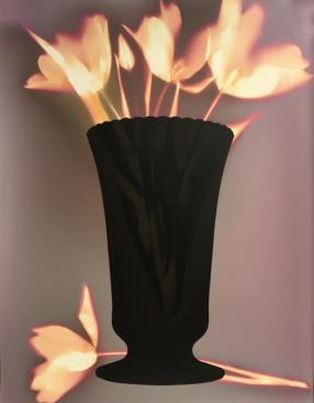 Black Vase_ilfordMGWTfb_tk032023