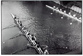 Regatta