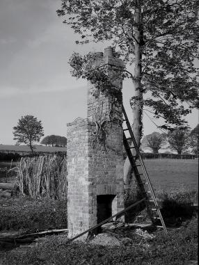 Chimneys & a Ladder