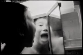 Ryotasaurus in the Mirror