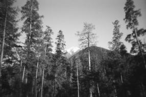 Nature of the Caucasus.