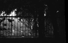 View through a garden railing