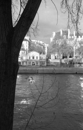 Tree by the Seine