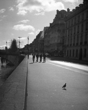 Pigeon by the Seine