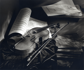 Paul Ulanowsky's violin