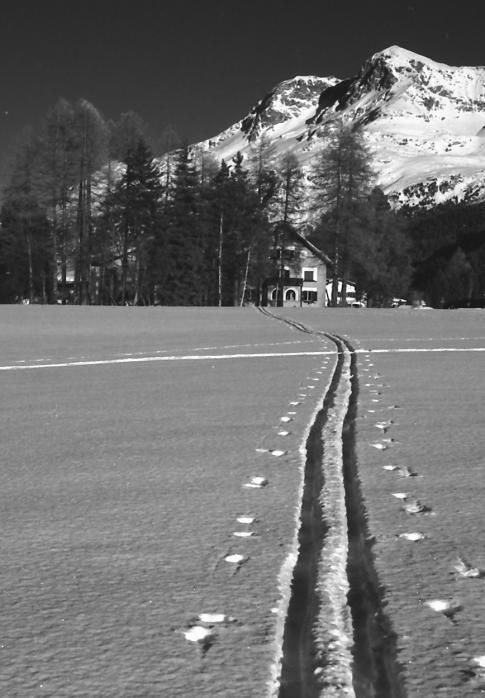 Sils house under Corvatsch