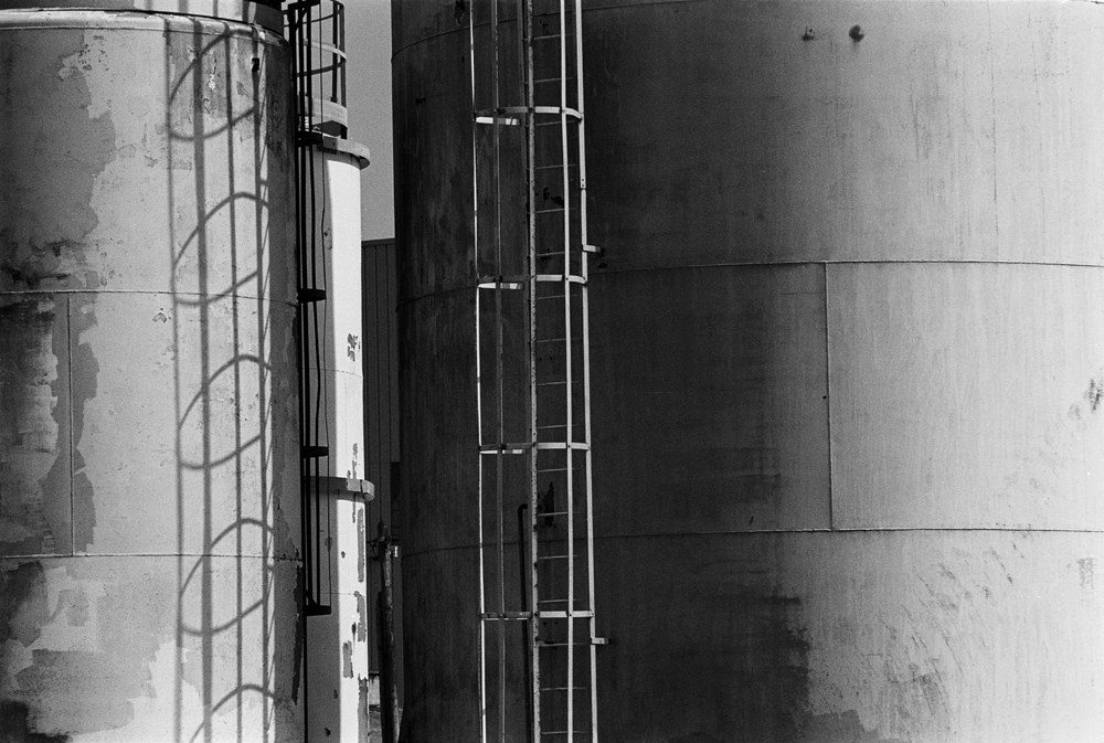 Fujifilm Acros 100 / Nikon FM3A / Nikkor 180mm