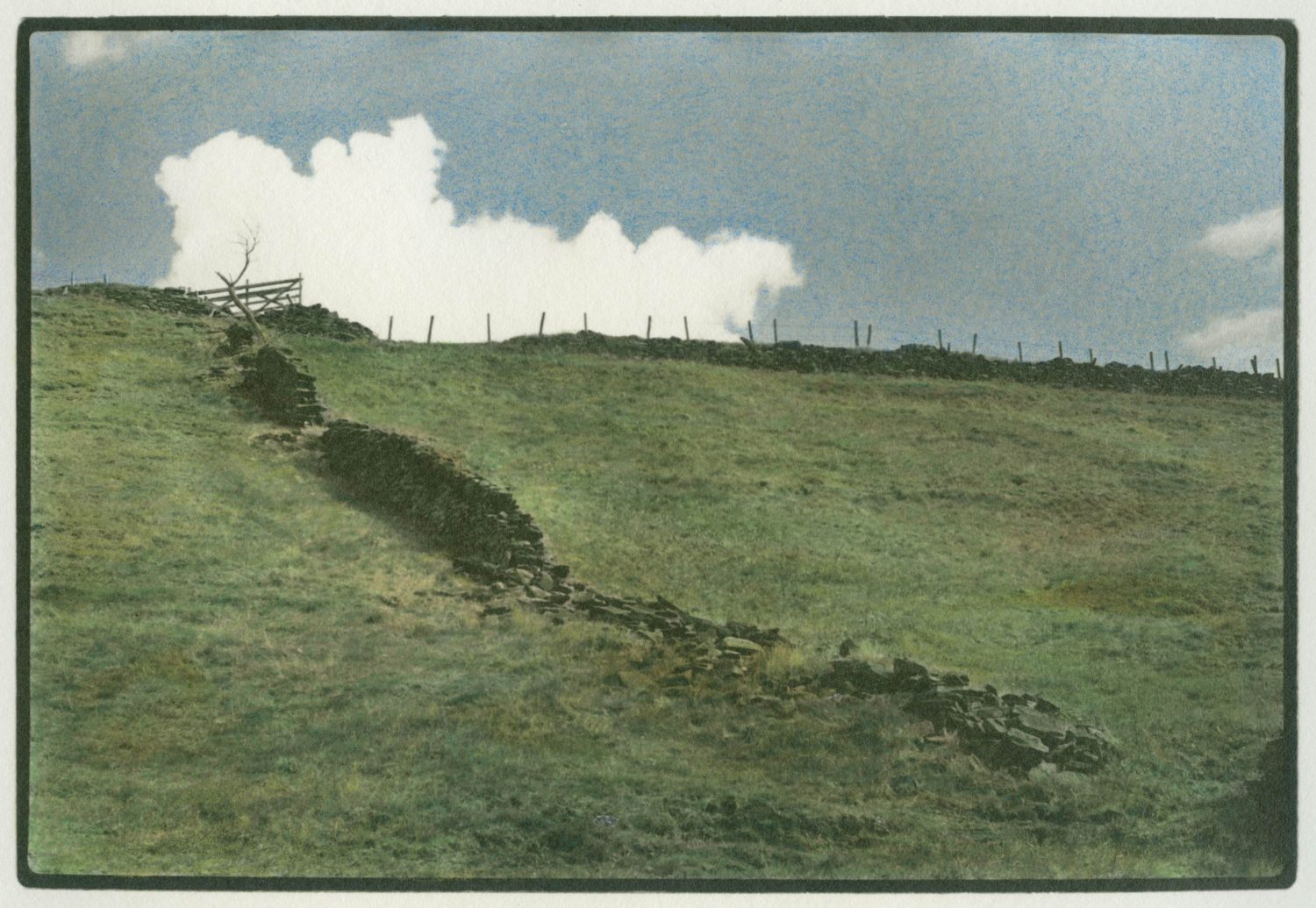 Hand coloured darkroom print on ILFORD Multigrade Art 300
