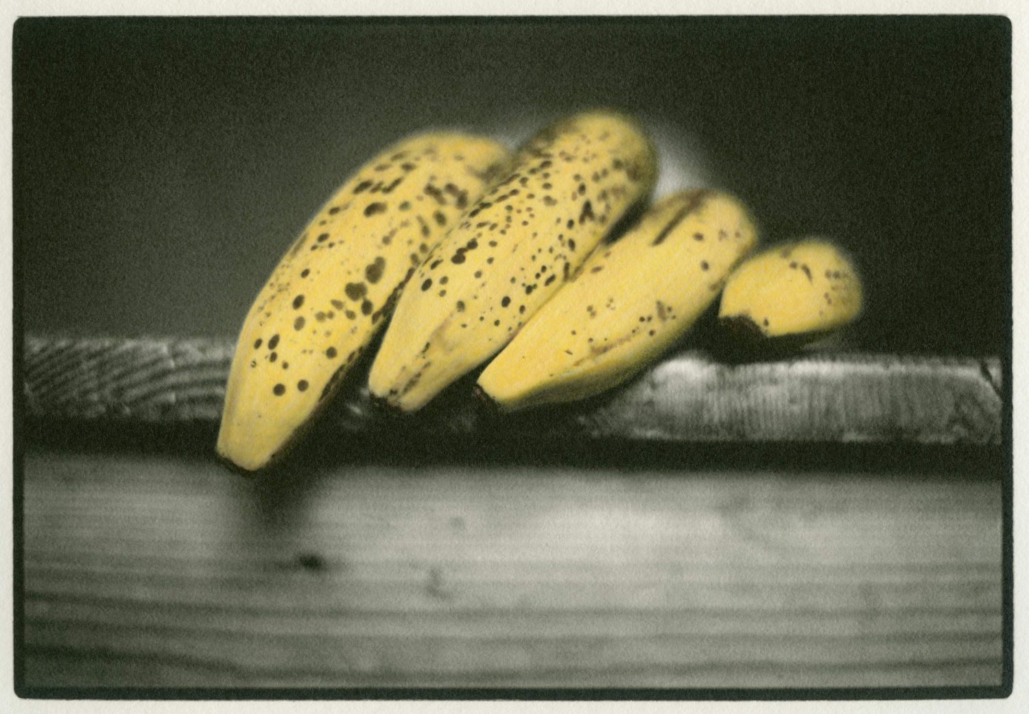 Hand coloured darkroom print on ILFORD MULTIGRADE ART 300