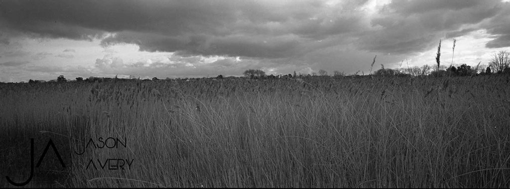 ILFORD film image by Jason Avery