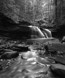 @Steven Wallace Breaking out some older work for day 6 of the nature photo challenge. I shot this a few years ago up at