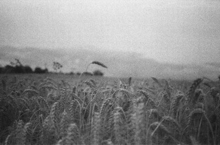 Black and white ifilm image shot on expired HP4 film by Chris Roe
