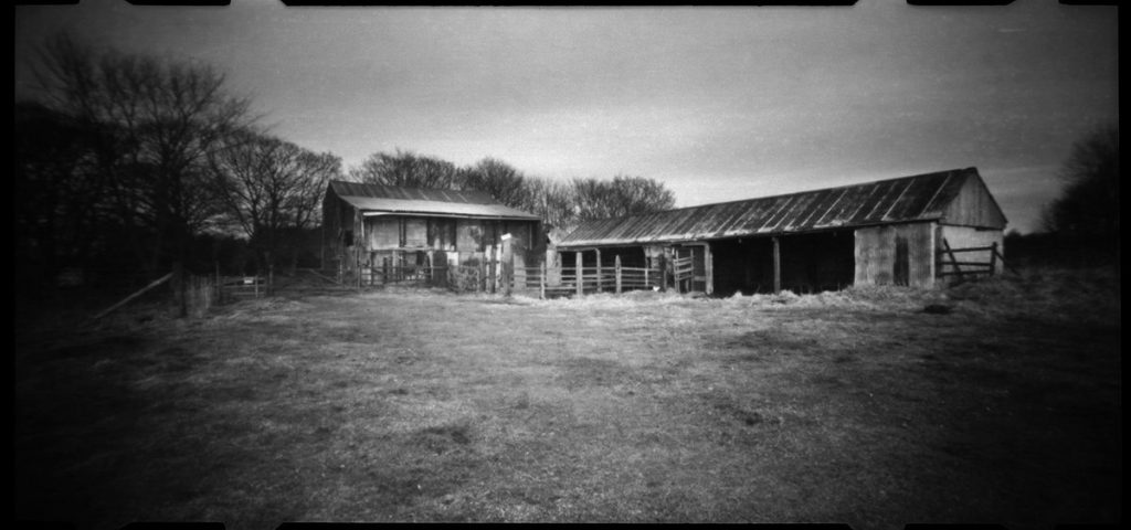 @JohnScarbro1 Seaview Farm. Well expired & badly stored Pan F @ 25. DD-X. 1-4. 8 min. Noon Pinhole 612. #ilfordfridayfavourites #pinhole #expiredfilm #believeinfilm