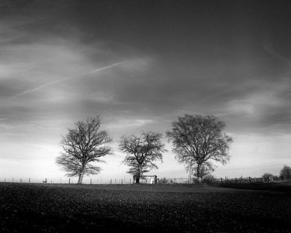 @Benoit_Dupont Mar 19 Hootlet More bilan de la semaine sur mon @500px: vous avez préféré cette vue argentique de la campagne isèroise: Longue vie au film! https://500px.com/photo/249367873/rural-skyline-shot-on-film-by-benoit-dupont … #mamiya RB67 @ILFORDPhoto PanF50 + filtre rouge. #isere #believeinfilm cc #fp4party folks :)