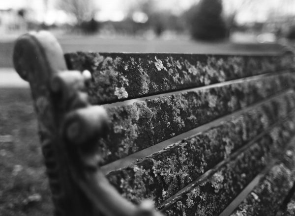 @AudraMayPhoto Moldy bench #stilllife #ilfordphoto #BronicaETRSi #fp4