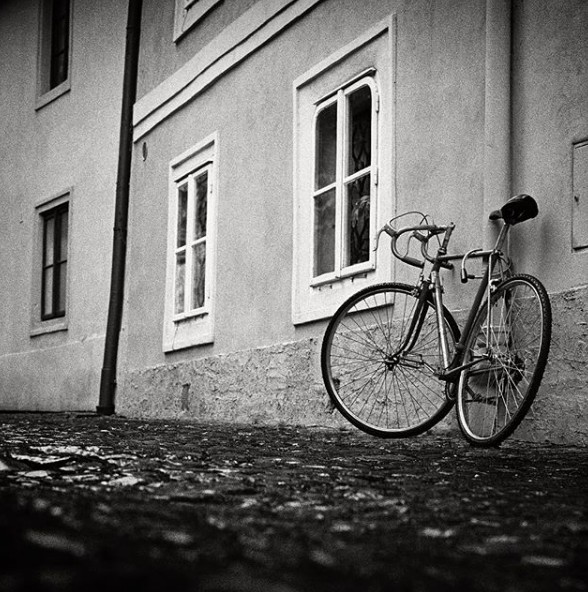 @petrgo #BW #analog #blackandwhite #hasselblad #istillshotfilm #prague #darkroom #fridayfavourites #ilfordphoto #stilllife #ilfordhp5