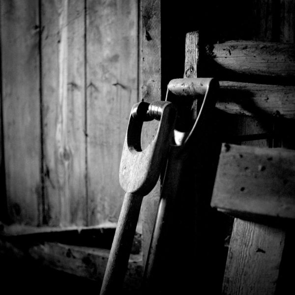 @BarnabyNutt In the shed with @ILFORDPhoto #HP5 #greenfilm #ilfordhp5 #fridayfavourites #believeinfilm #yashica124g