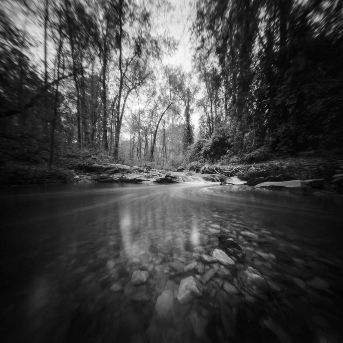 @thisJasonSelf A Quiet Place #ilfordphoto #fridayfavourites #pinhole ?: @realitysosubtle 6x6 ?: @ILFORDPhoto Delta 100 ⚗️: F76+ (1+9)