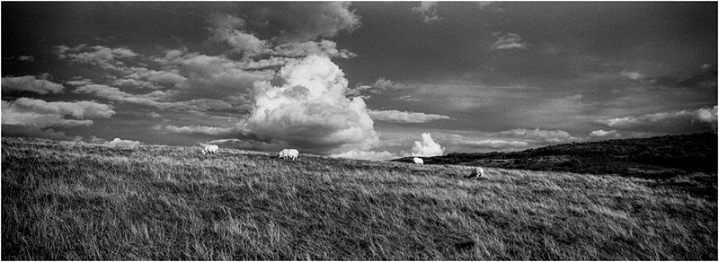 Black and white film photograph by Martin Berry shot on Hassleblad Xpan using ILFORD film