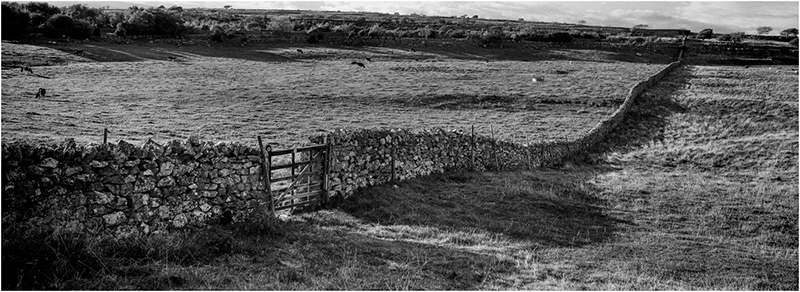 Black and white film photograph by Martin Berry shot on Hassleblad Xpan using ILFORD film