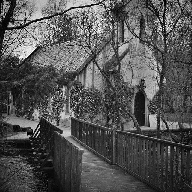 timbrown_photoCanon AE1 @ilfordphoto XP2 #Wicklow #ireland #blackandwhite #bnw #monochrome #monoart #bnw_society #bw_lover #photo #photos #pic #pics #instagrammers #igers #35mmfilm #canonae1 #ilfordxp2 #filmphotography #filmsnotdead #analogphotography