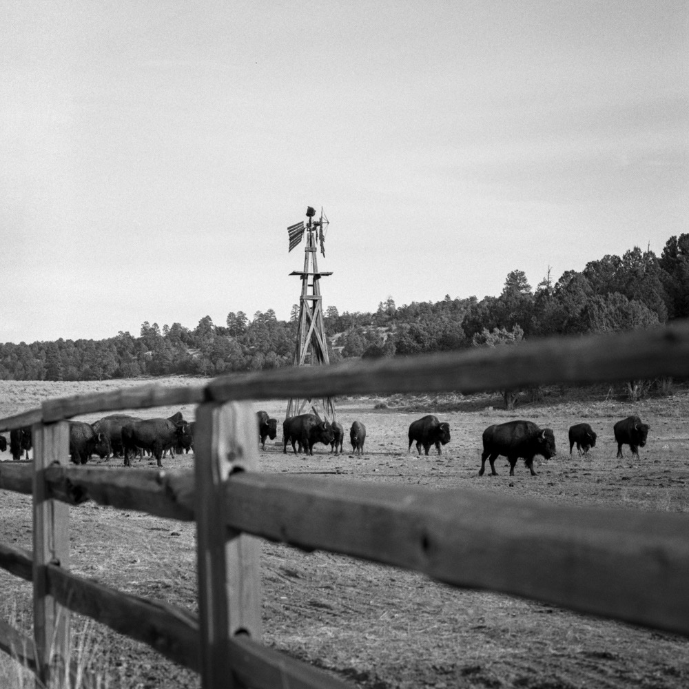 Black & white pictures hot in the American West by Adiran Otero on ILFORD HP5= 120 film