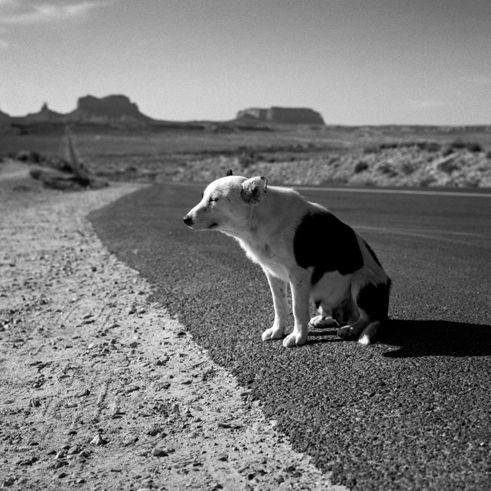 Black & white pictures hot in the American West by Adiran Otero on ILFORD HP5= 120 film