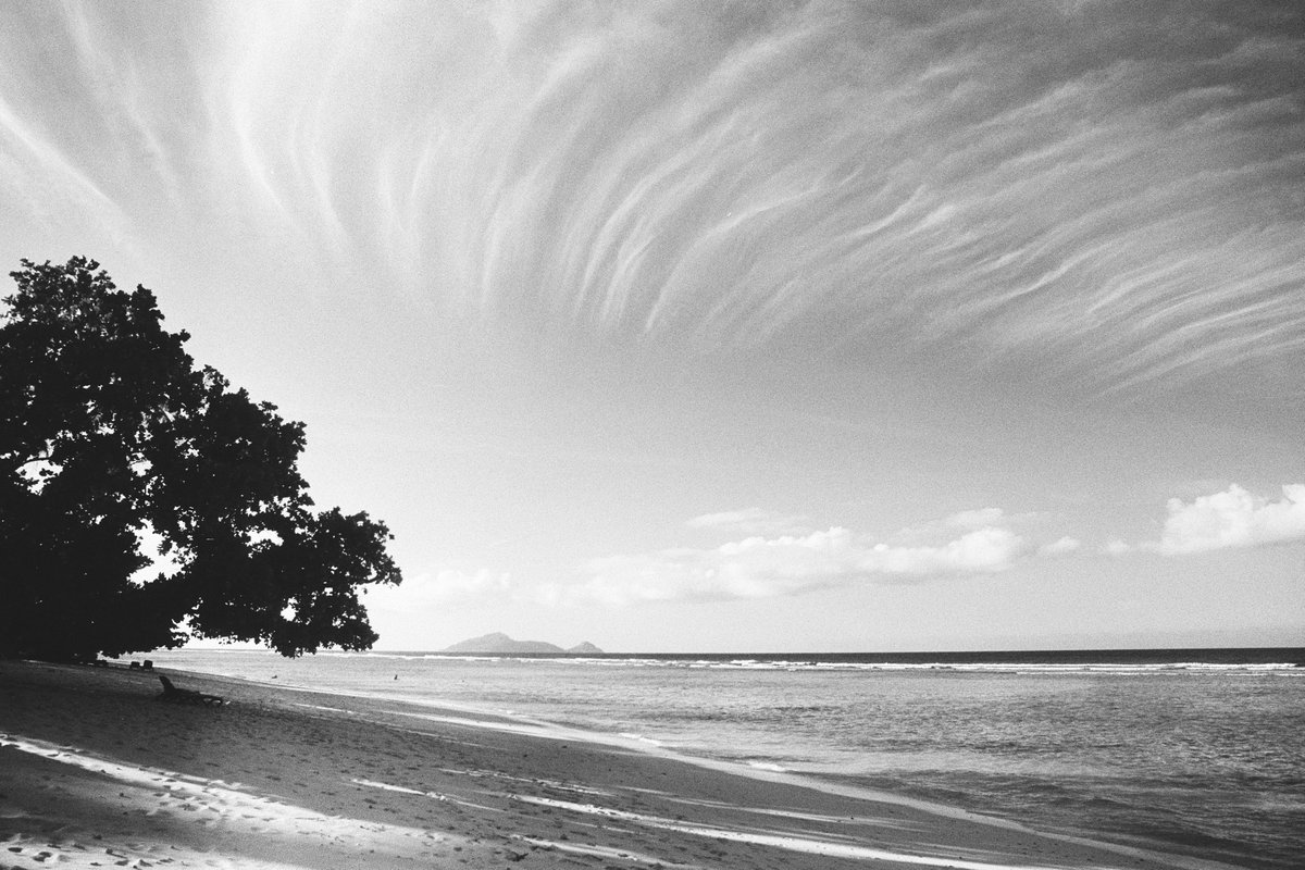 Black and white photo #bythesea shot on ILFORD Photo film by @DaveBlaker