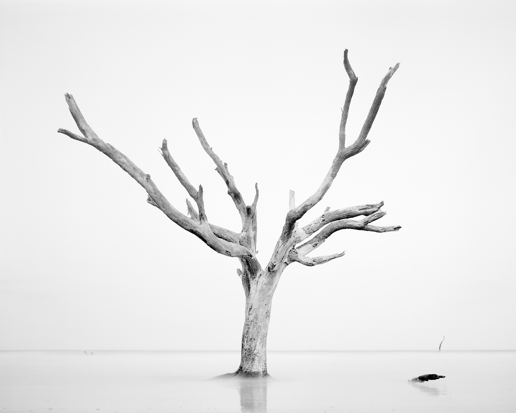 HUNTING ISLAND XVI, 2018 shot by Mike Basher on ILFORD black and white Delta film