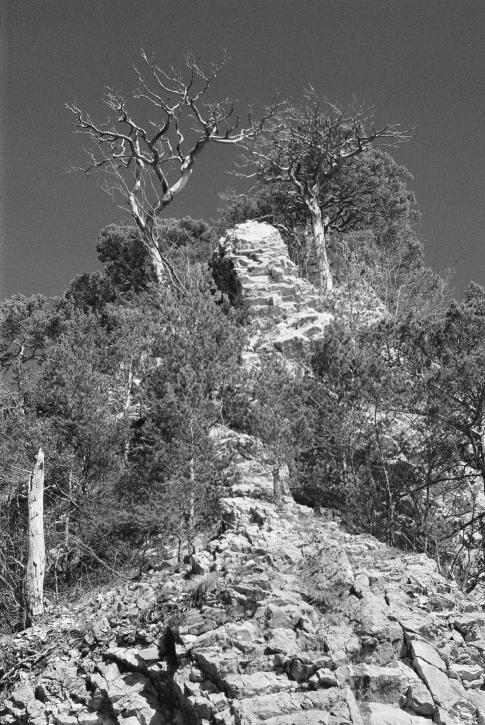 ROCK IN THE JURA MOUNTAINS By Michael Leupold, entered into Landscapes #fridayfavourites #filtered, yellow filter Developer - Other Film Format - 35mm Speed - 800 Country - Switzerland Camera & Lens - Canon AV-1, FD 50mm f1.8 Film Used - HP5 PLUS