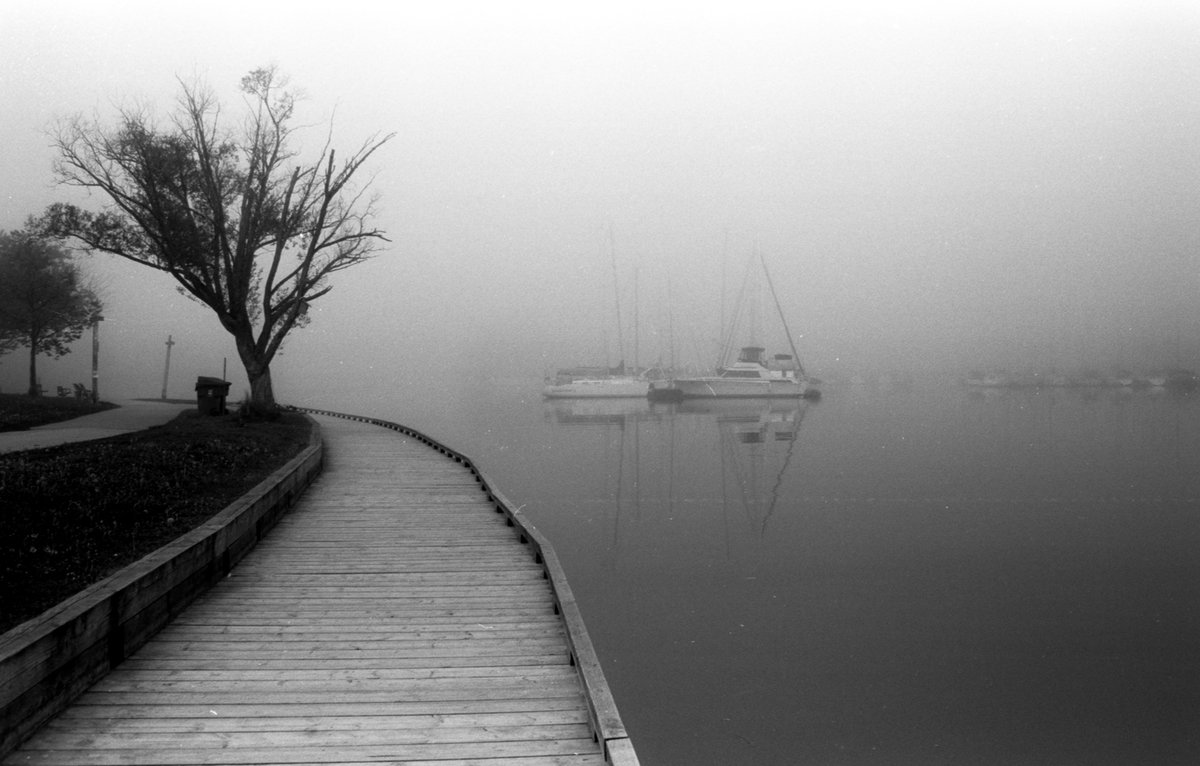 black & white image for #ilfordphoto #fridayfavourites #kentmerefilm @junctionrails Early morning fog Ashbridges Bay, Toronto @ILFORDPhoto Kentmere 100, 135 format Nikon F50 / Nikkor 28-70mm #beliveinfilm #shootfilmbenice #fridayfavourites #kentmerefilm #ilfordphoto