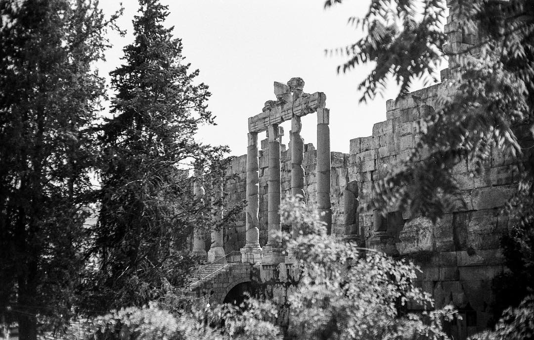 adibmuftyBaalbeck ?: Leica M6 ?: Ilford PAN F 50 ⚗️: Ilford ID-11 1+1 ?: Lebanon ?? ••••••••••••••••••••••••••••••••••••••••••••••• #adibmufty #filmphotography #blackandwhitephotography #Monochrome #bnwphotography #BelieveInFilm #ilfordphoto #fridayfavourites #travel #ilfordpanf50 #ilford #leicafilm #leicam6 #leicafilmcamera #leicafilmphotography #baalbek #baalbecktemple #lebanon #livelovebekaa #livelovelebanon #ishootfilm #believeinfilm #filmisnotdead #stillshootfilm #tourism #bnwportrait #bnw_rose #bnw_photography #romanruins