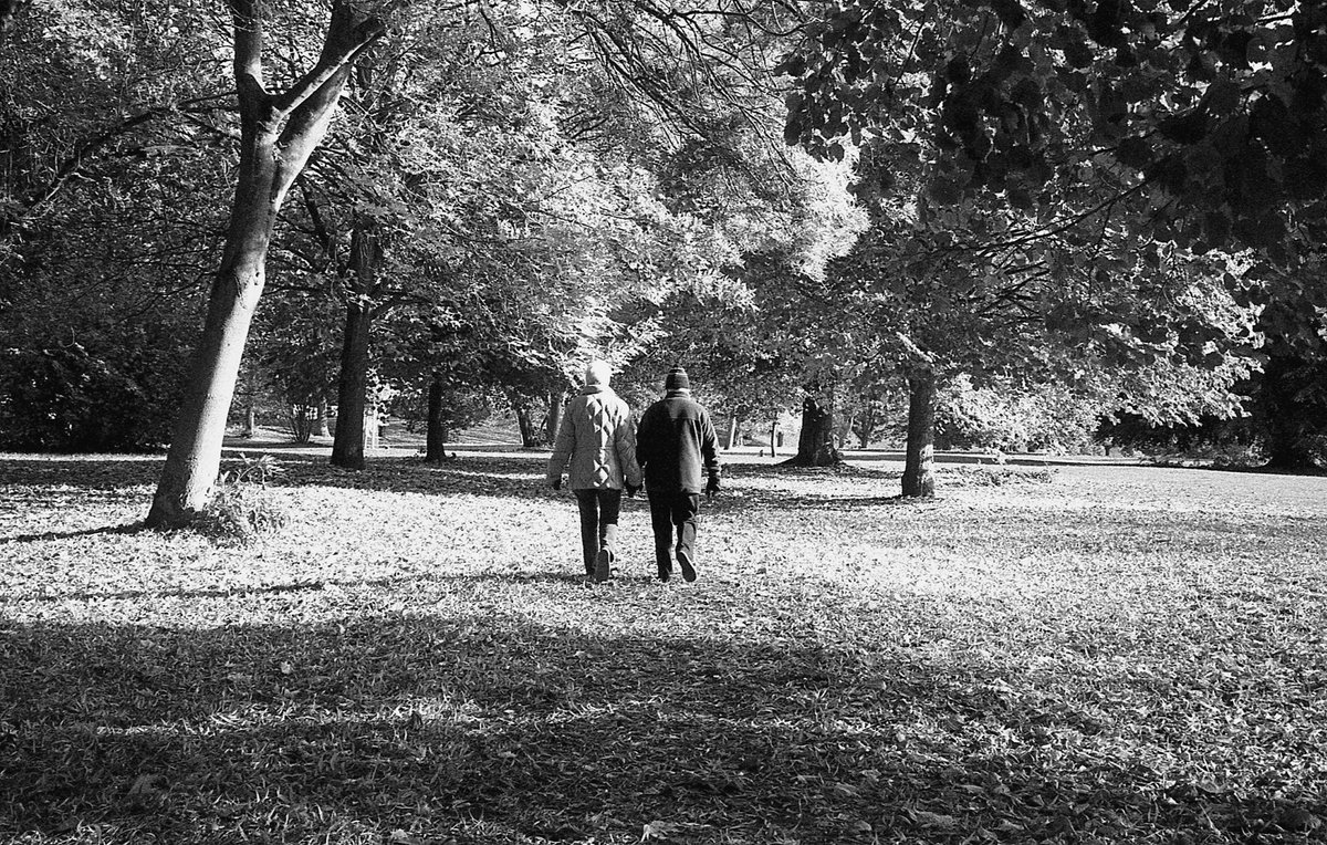 Black and white films image by @atlantean526 for #ilfordphoto #fridayfavourites #autumn theme