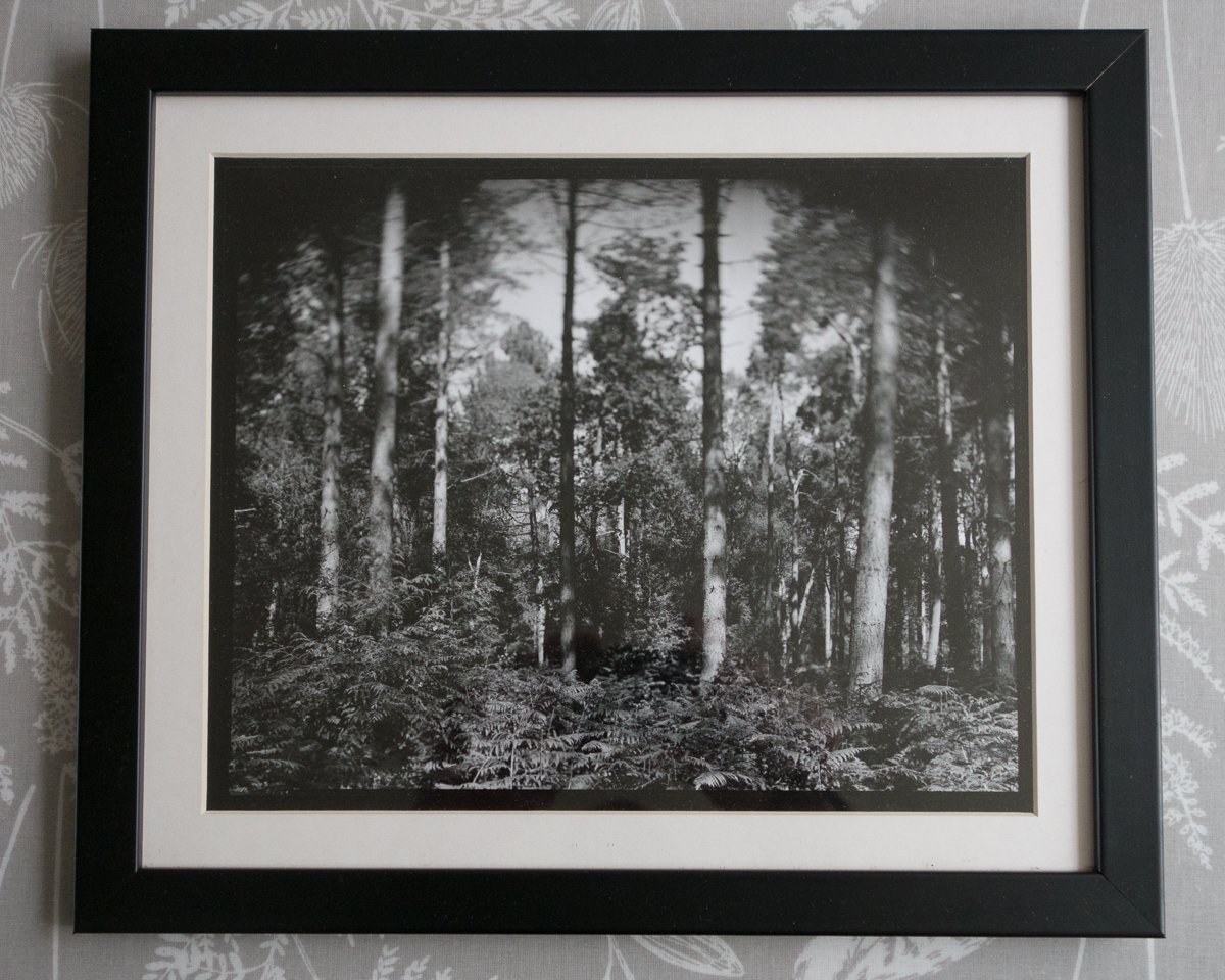 #ilfordphoto #fridayfavourites #darkroomprints