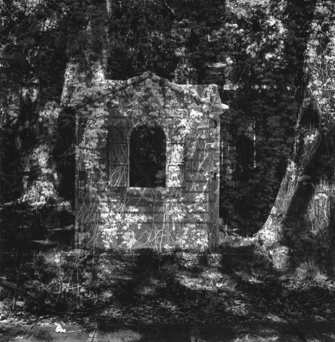 @DrMarsRover 13h13 hours ago Hootlet More Hidden Darkroom montage print from two @ILFORDPhoto HP5 negatives Bronica SQ-A #fridayfavourites #spooky 