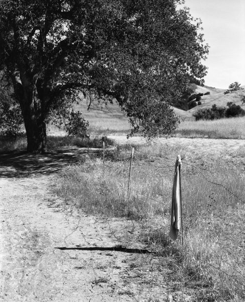 Image from Jack Whitefield shot on ILFORD black and white film