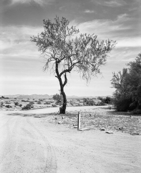 Image from Jack Whitefield shot on ILFORD black and white film