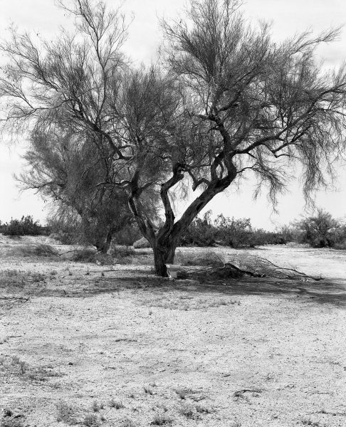 Image from Jack Whitefield shot on ILFORD black and white film