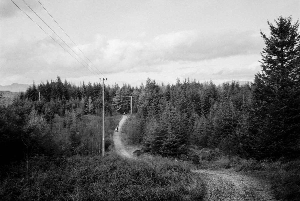 @StuM35mm Nov 8 Hootlet More The long and winding road ⚗️IlfotecHC (1:31) ?️Ilford Delta 400 #ilfordphoto #fridayfavourites #roadtrip 