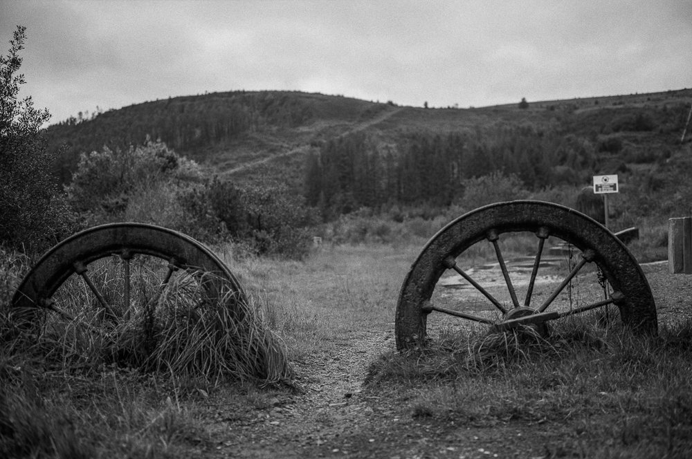 @timdobbsphoto 18h18 hours ago Hootlet More Most probably this image as it shows just how brilliant HP5 performs when pushed. Shot using my Fuji GW690iii at 800iso #fridayfavourites #ilfordphoto #favouriteshot #believeinfilm