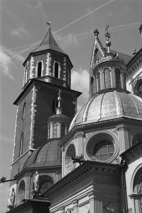 Black and white film shot by Michael Leupold - WAWEL - CRACOW - POLAND -Camera & Lens - Canon AE-1 program, FD 50mm f1.8 Film Used - DELTA 100 PROFESSIONAL