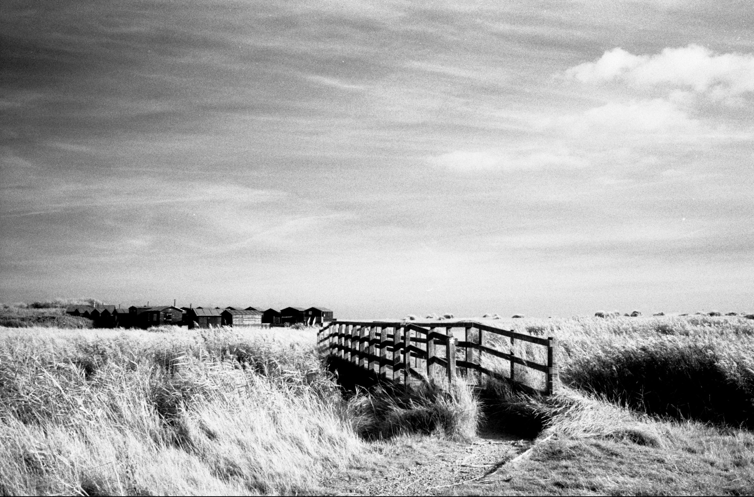 Black adn white images shot on ILFORD SFX200 film by Jason Avery