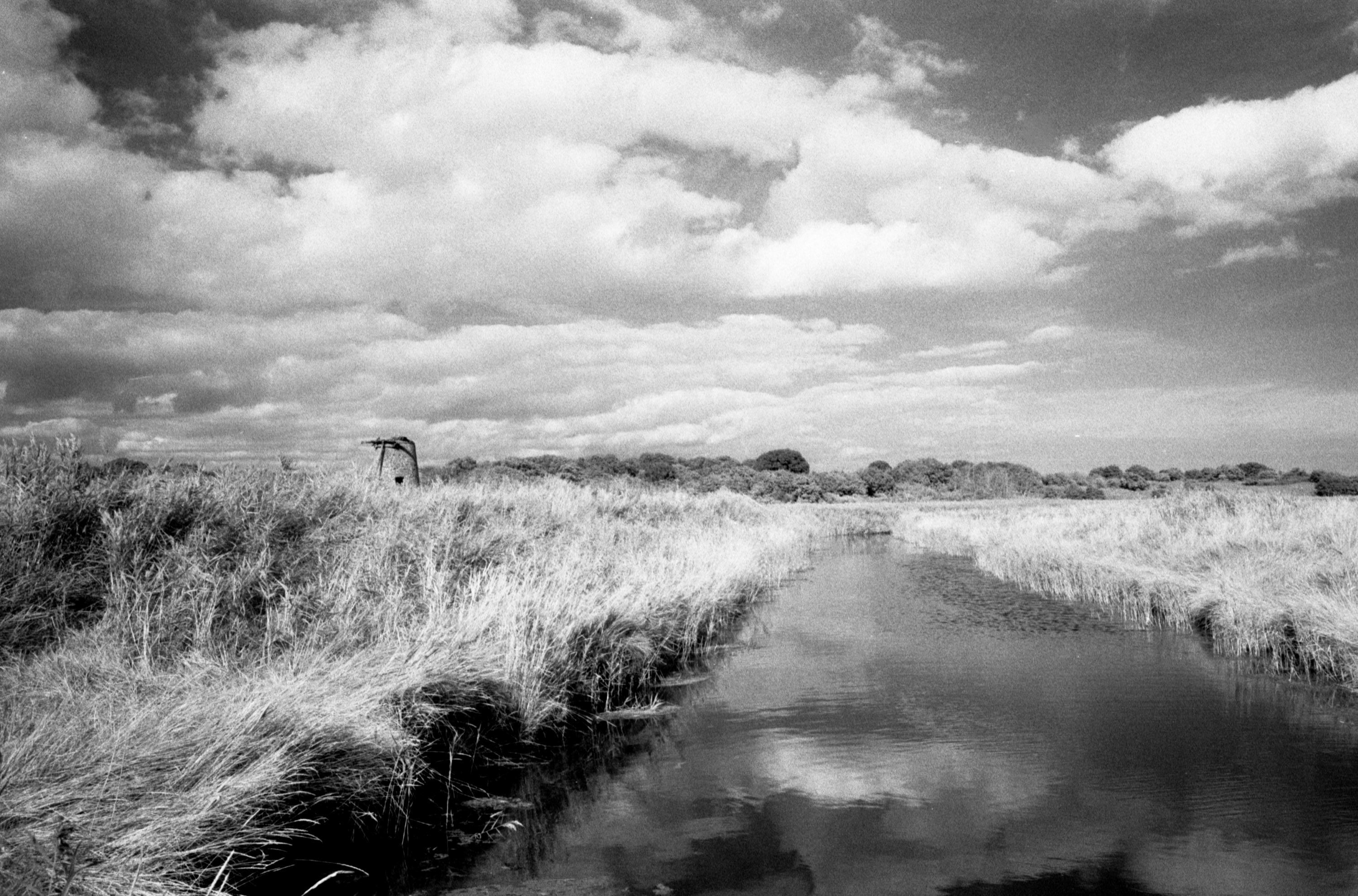 Black adn white images shot on ILFORD SFX200 film by Jason Avery