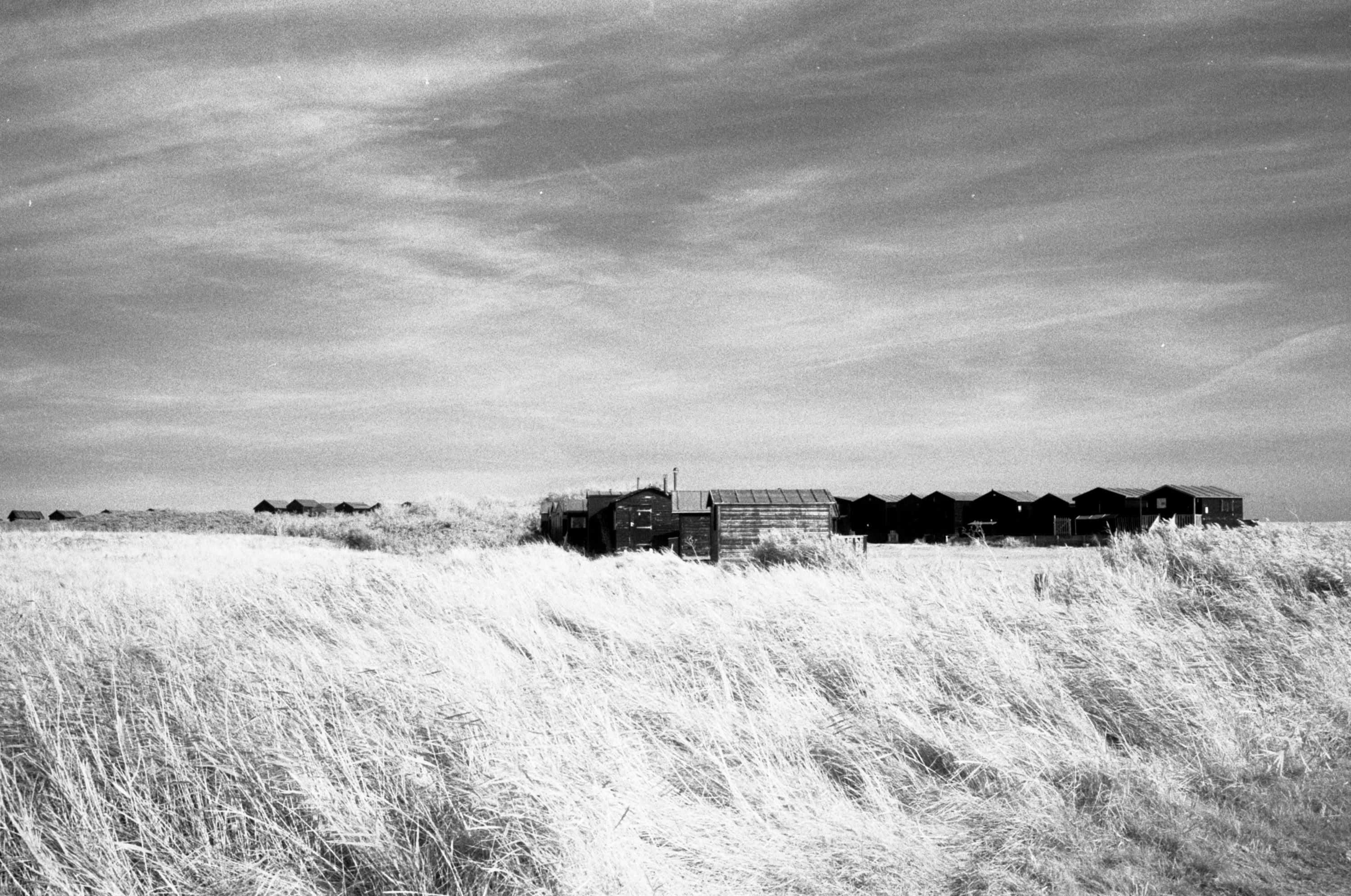 Black adn white images shot on ILFORD SFX200 film by Jason Avery