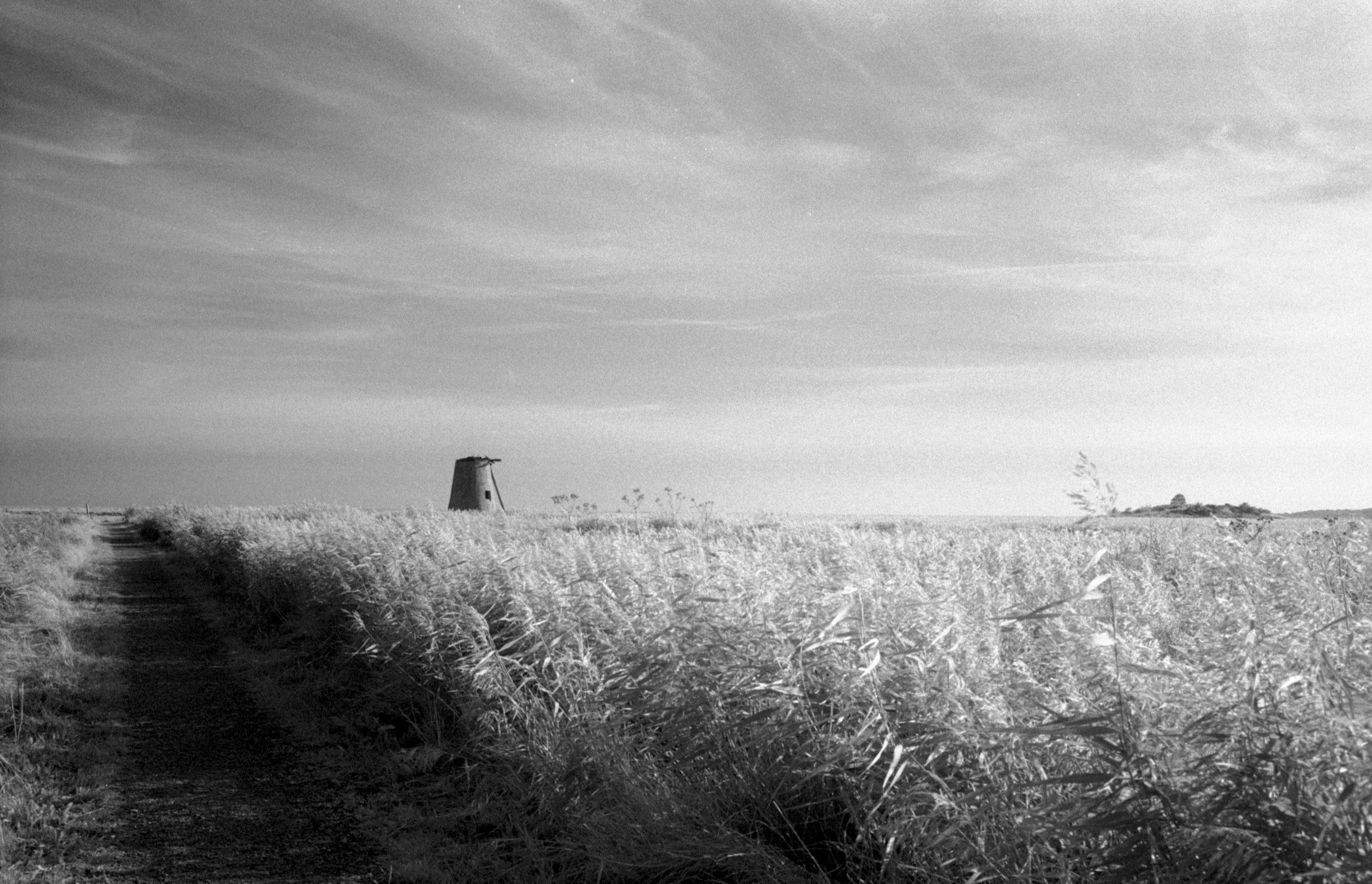 Black adn white images shot on ILFORD SFX200 film by Jason Avery