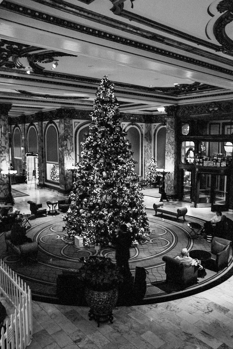 @adiw1202 The #ChristmasTree at the #Fairmont San Francisco - on #Ilford XP2 Super 400 with #Leica M6 and #Elmarit 28mm handheld. #believeinfilm #shootfilmbenice #Ilfordphoto #justadd 