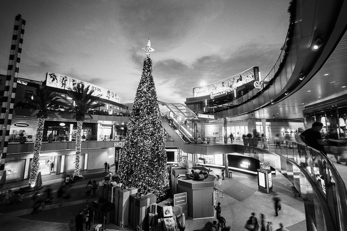 @adiw1202 One of my favorite #festive shots, on #Ilford Delta 100, with #Voigtlander Bessa R2A and #Heliar 15mm super-wide. Developed in Ilfotec DD-X.