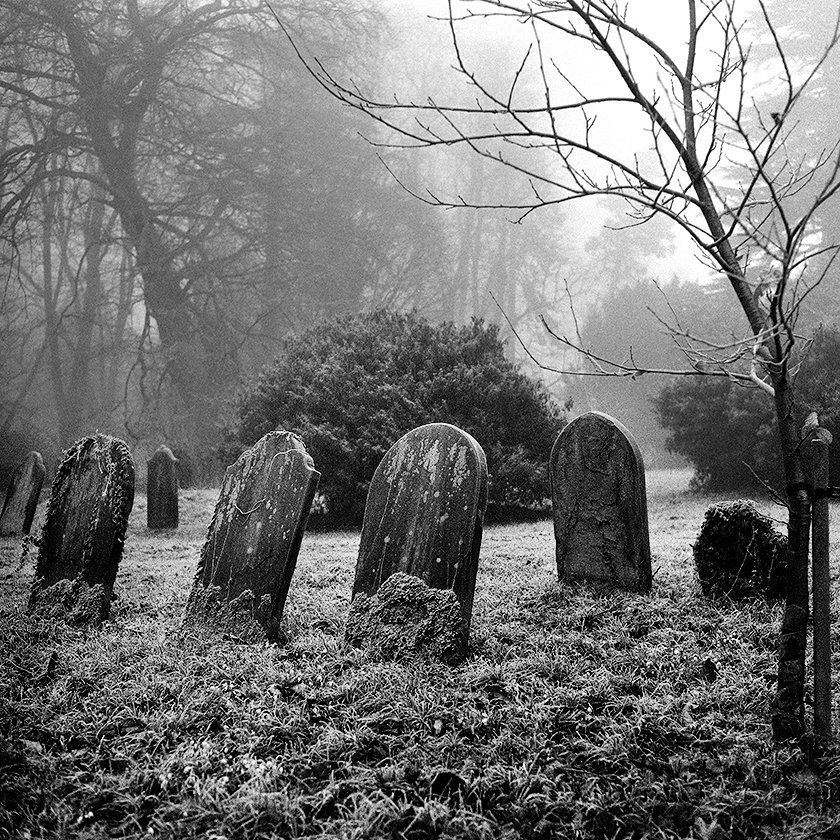 @JohnScarbro1 Feb 12 Hootlet More Old Cemetery 2. @ILFORDPhoto Delta 3200 @1000. 6X6. Minolta Autocord. #ilfordphoto #lovefilm #fridayfavourites #believeinfilm