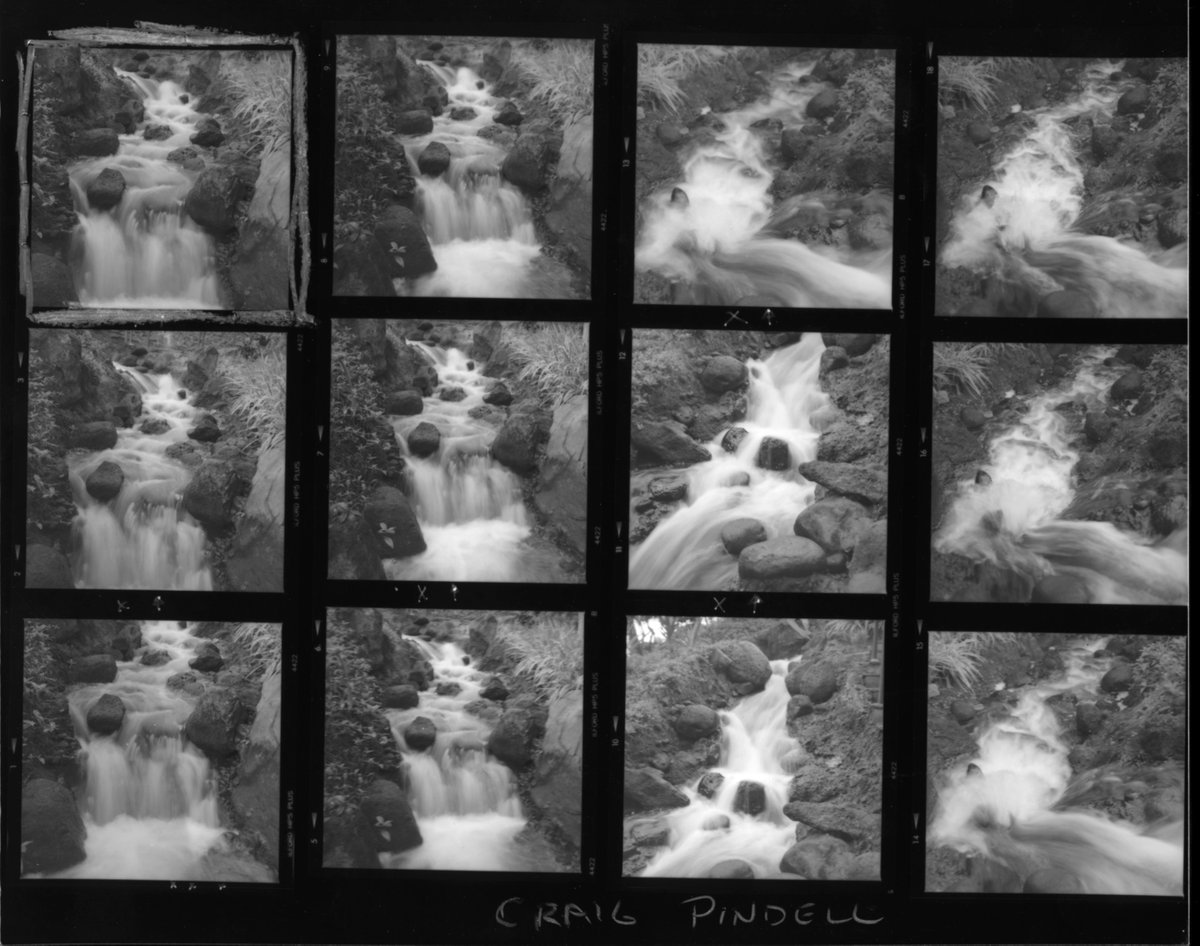 @cpindell1 18h18 hours ago Hootlet More Replying to @ILFORDPhoto #ilfordphoto #fridayfavorites #contactsheets #moarwaterfalls #waterfalls #shootwhatyouchoose